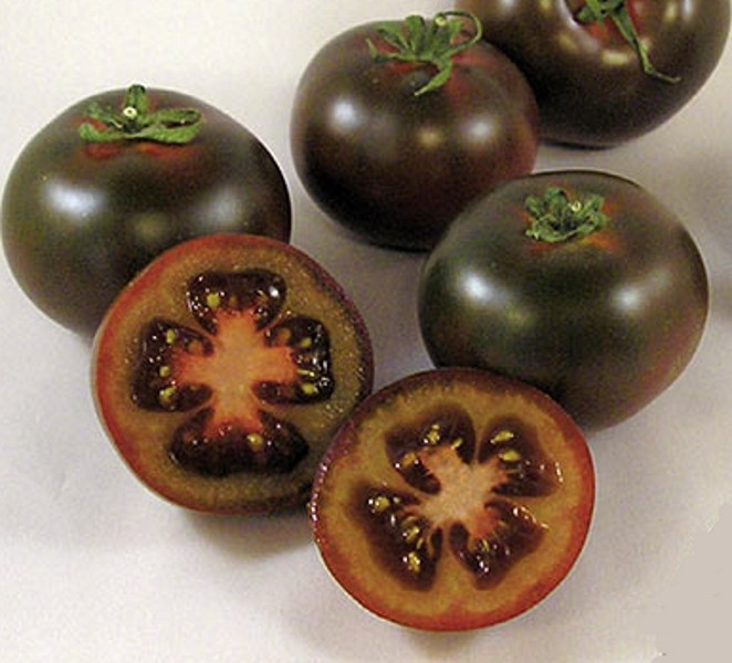 Tomaten Schwarze Kirschtomate Bombonera