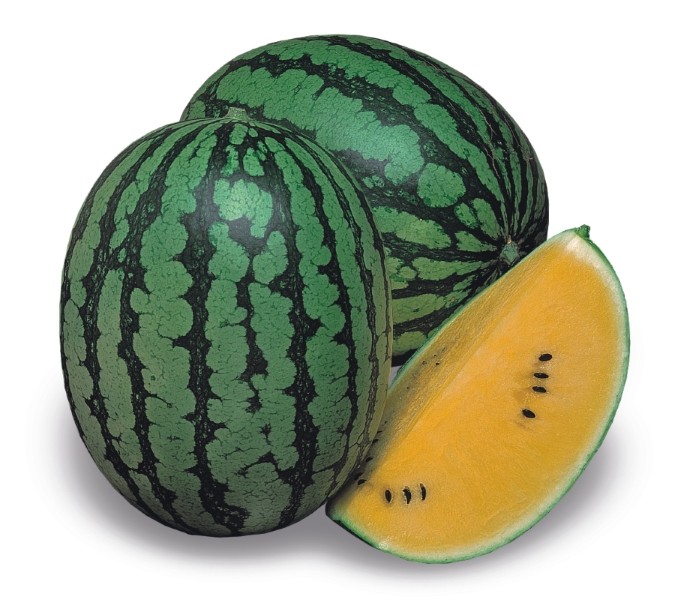 Melonen Wassermelone Gelbfleischige Luteo