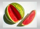 Melonen