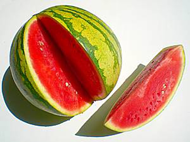 Melonen Wassermelone Red Star F1