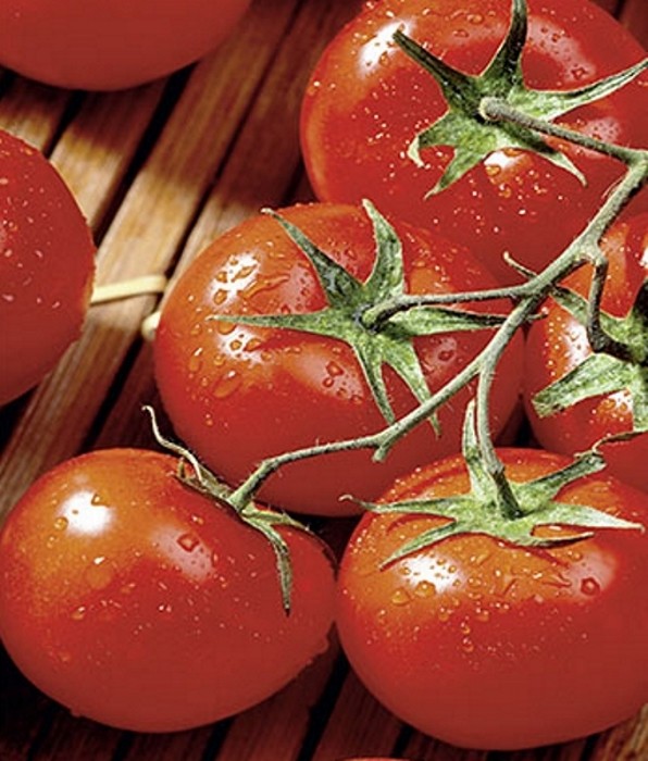 Tomaten Hellfrucht Samen keine Hybride!
