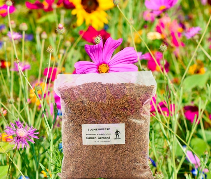 Blumenwiese Wildblumenwiese 1kg Frische Saat für 100 m²