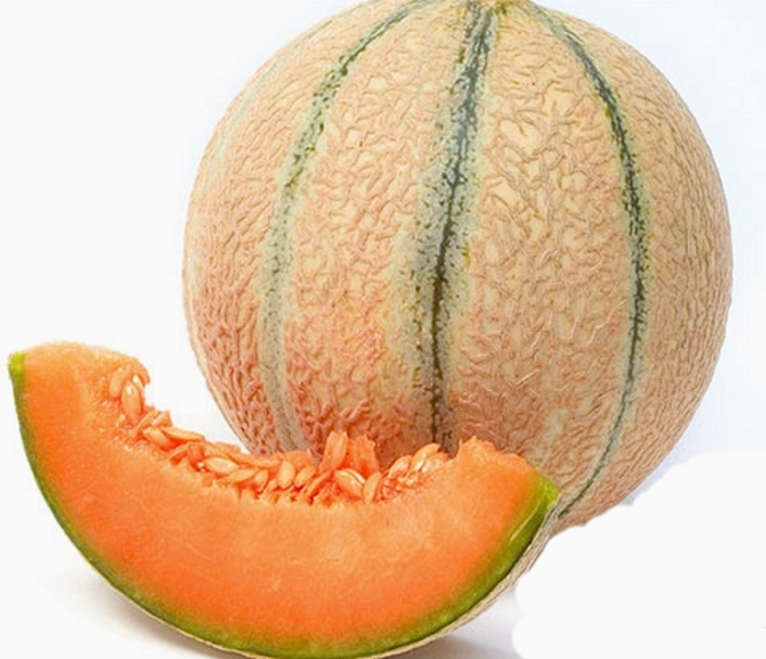 Melonen Zuckermelone Gandalf Samen 